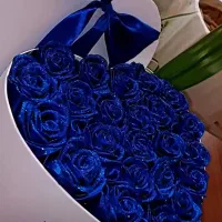 گلِ رز همراه با شاین رایگاه|گل مصنوعی|تبریز, |دیوار