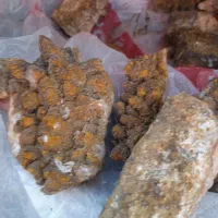 سنگ کوارترز