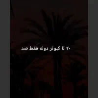 ۲۰تاکبوتر