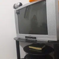 تلوزیون