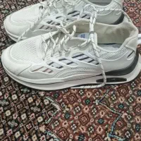 اصل