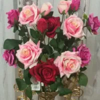 پنج شاخه گل خارجی هرشاخه ۸۰۰تومن