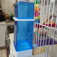 قفس پرنده همراه تمامی لوازم|لوازم جانبی حیوانات|تهران, مشیریه|دیوار