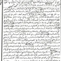 مدرس زبان عربی از ابتدا تا دکتری
