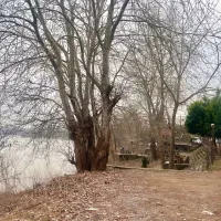 440 متری/چندقدمی سفیدرود/ویلا نشین/لشت نشا/لیچاه|فروش زمین و ملک کلنگی|رشت, منظریه|دیوار