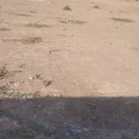 اجاره زمین کشاورزی