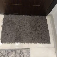 پنج عدد پادری خزدار طوسی