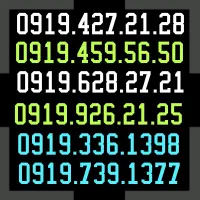 0919.739.1377