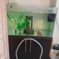 اکواریوم با همه وسایل