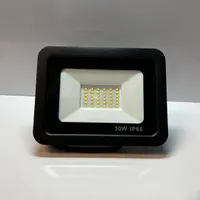 پروژکتور ۳۰ وات