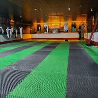 آموزش هنرهای رزمی