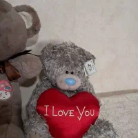 عروسک تدی|اسباب‌‌بازی|اصفهان, خواجو|دیوار