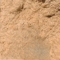کاه دیمه گندم سر زمین