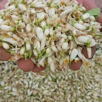 عرقیات خانگی میمند فارس سنگین-عمده-خرده|خوردنی و آشامیدنی|شیراز, شهرک مفتح|دیوار