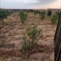 فروش ویژه باغ در منطقه زیبا کد خدا