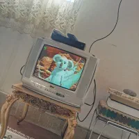 تلویزیون