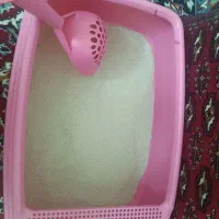 ظرف خاک گربه