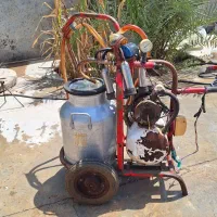 شیر دوش گاو تک واحد