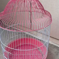 قفس پرنده