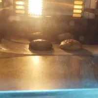 فر ۴ سینی کانوکشن دار|اجاق گاز و لوازم برقی پخت‌وپز|یزد, |دیوار