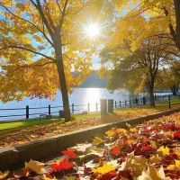 فروش ۶۶۴متر زمین موردراز رهبر با بهترین موقعیت