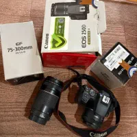 دوربین عکاسی کانن 250D