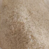 برنج تارم شمال