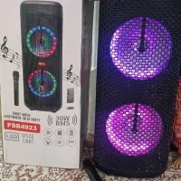 باند اسپیکر پرقدرت|سیستم صوتی خانگی|شاندیز, |دیوار