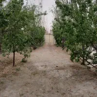 باغ 1000 متری در فیروزبهرام تهران