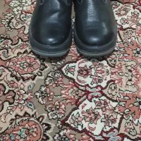 کفش ایمنی کلار