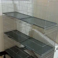 قفس .قفس تاشو قناری مرغ عشق فنچ طوطی برزیلی وسهره