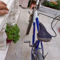 دوچرخه 26 بدنه آهن|دوچرخه، اسکیت، اسکوتر|پیشوا, |دیوار