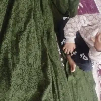 لباس محلی  سبز|لباس|دهدشت, |دیوار