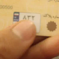 پلاک گم شده