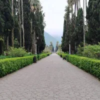 هم خونه هم خونه خانم