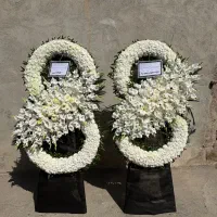 فلورانس تحویل فوری عرضه تاج گل|گل و گیاه طبیعی|تهران, شهرک محلاتی|دیوار