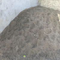 دو نیسان کود حیوان بز ومیش