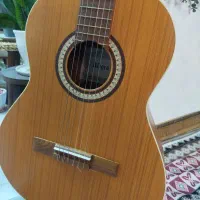گیتار آلگرو