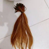 موی طبیعی|آرایشگاه و سالن‌های زیبایی|رشت, بیجارپس|دیوار