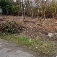 زمین قابل ساخت در رویان