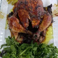 امشب افتتاحیه مرغ شکم پر همت 10٪ تخفیف