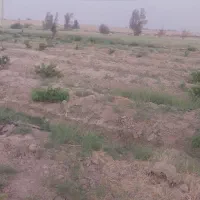 نیازمند کارگر کشتگر|استخدام صنعتی، فنی، مهندسی|زهک, |دیوار