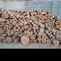 خریدار انواع چوب ورق هرس درختان