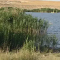 فروش-باغ-باغچه-هفت-برم-خانه-زنیان-برم-سوم
