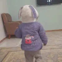 کاپشن بچگانه|کفش و لباس بچه|شهریار, شهرک امیریه|دیوار