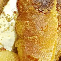 عسل طبیعی سبدی قره داغ