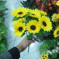 اجاره یا رهن مغازه در طولارود