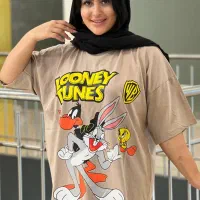 تیشرت باکسی|حراج|دهدشت, |دیوار