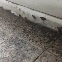 تیبا ۲مدل ۹۶