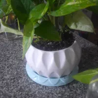 رهن ویلایی نادری